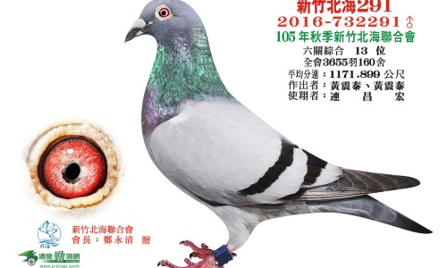 盐橘核的作用网- 盐橘核的作用是什么知识,分享盐橘核的作用与功效